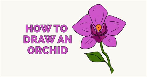 How To Draw A Beautiful Orchid Really Easy Drawing Tutorial