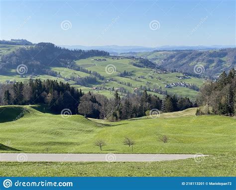 Subalpine Meadows And Livestock Pastures On The Slopes Of The Swiss