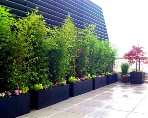 Learn how to make it here. 56 ideas for bamboo in the garden - out of sight or ...