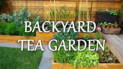 Backyard Tea Garden Youtube