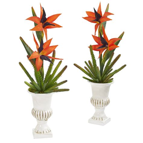 19” Bird Of Paradise And Cactus Artificial Arrangement In White Urn