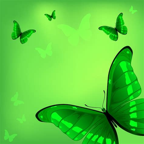 Premium Vector Butterflies On Green Background