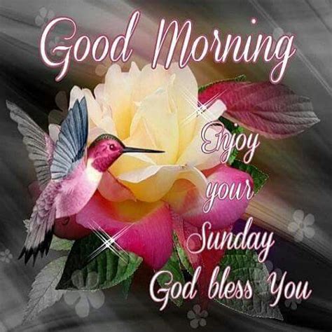 Good Morning Enjoy Your Sunday God Bless You Pictures