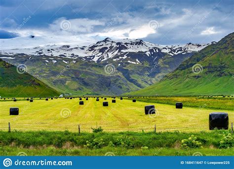 Green Grassland On A Country Farm In Iceland Stock Image Image Of