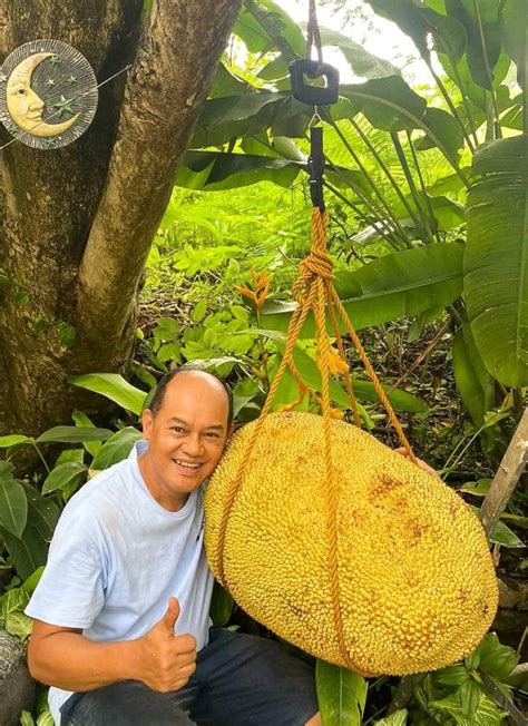 Filipino Gardener Aiming To Beat Guinness Record Of Worlds Biggest