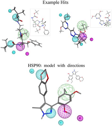 Query Pharmacophore Model For Hsp90 Bottom And Two Examples From The