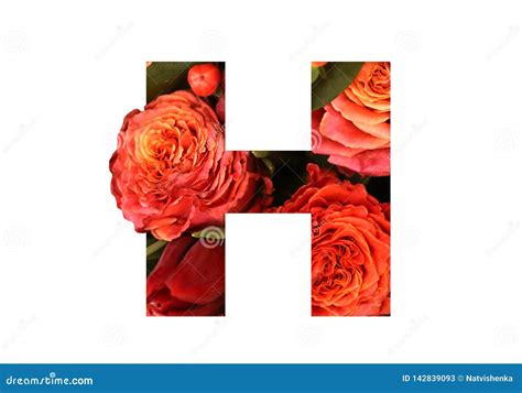 Floral Font Letter H From A Real Red Orange Roses For Bright Design