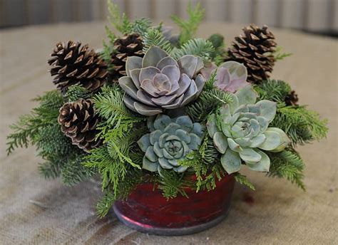 Christmas Centerpiece With Succulents In 2022 Christmas Flower