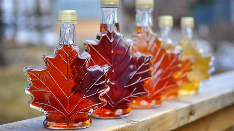 Natural brand of cat food is produced and manufactured by the petcurean pet nutrition company. You've been storing maple syrup wrong your entire life