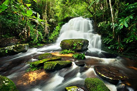 Wallpapers Nature Waterfalls Forests Moss Stones
