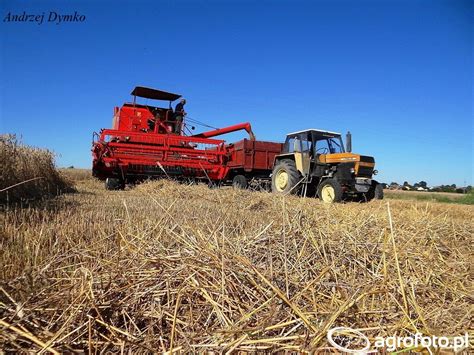 Kombajn Bizon Ursus Fotka Galeria Rolnicza Agrofoto