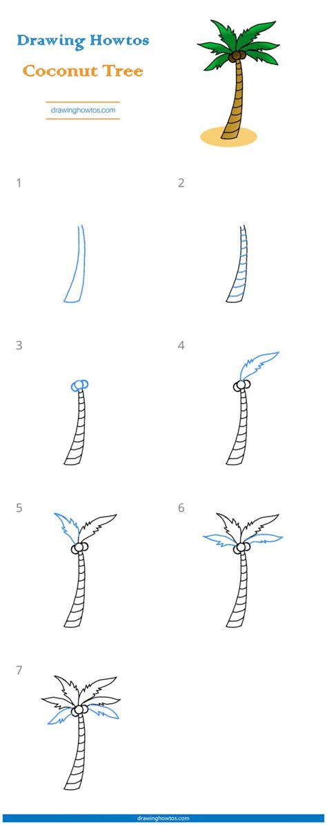 How To Draw A Coconut Tree Step By Step Easy Drawing Guides Drawing