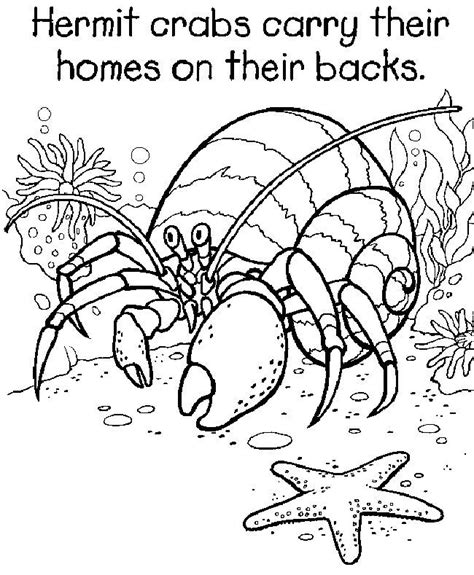Print out the ocean creatures from 3 dinsosaurs. Hermit Crab Coloring Page | Printable Coloring Pages ...