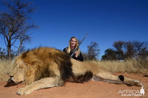 Hunt Lion In South Africa