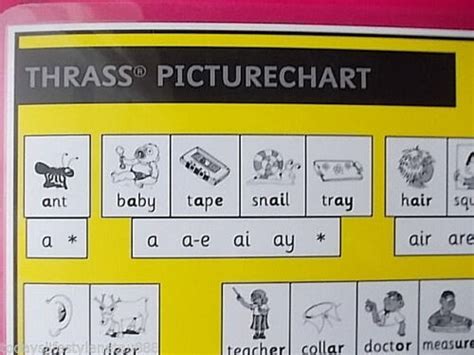 Thrass Picture Chart T 103 Two Sided Desk Size 35 X 21cm Ebay