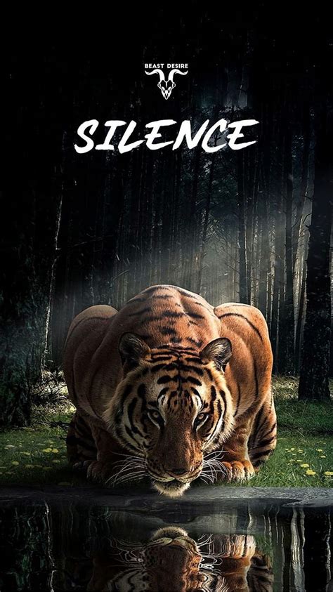 Silence Tiger Tiger Tropical Water Hd Phone Wallpaper Peakpx