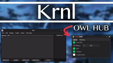 Tags ignore krnl download 2021,how to download krnl 2021,roblox 2021,roblox exploit 2021,how to download krnl for roblox. Free download Arsenal Hack Krnl Roblox Exploit Owl Hub Support 1 Latest Update February 2021