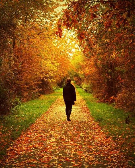 Autumn Path By Anneclaires On Deviantart