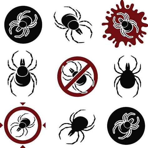 Ticks Bugs Background Illustrations Royalty Free Vector Graphics