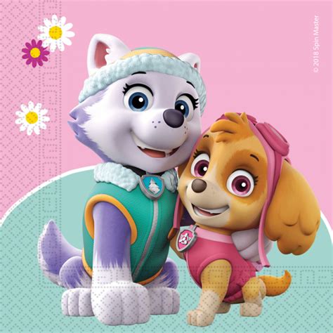 20 Two Ply Paper Napkins 33x33cm Paw Patrol Skye And Everest