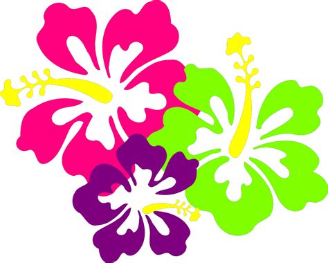 Transparent Background Hibiscus Flower Clipart Png Download Full