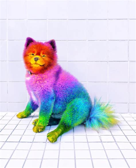 Pin By Nam Hughes On Rainbow Cute Animals Cute Animal Drawings Cute