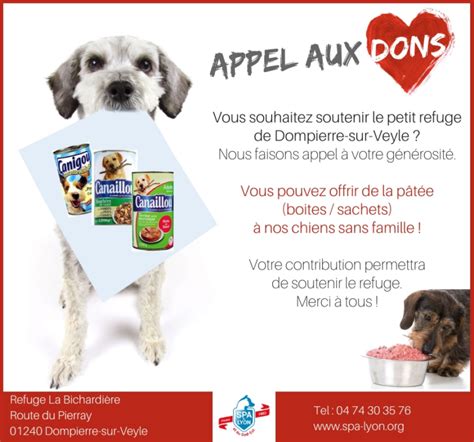 Appel Aux Dons Pour Le Refuge De Dompierre Spa De Lyon Et Du Sud Est