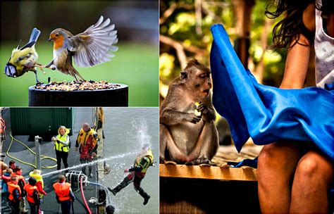 17 Divertidísimas Fotos Tomadas En El Momento Justo