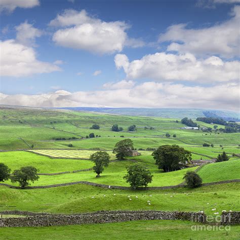 Yorkshire Dales Wensleydale England Photograph By Colin