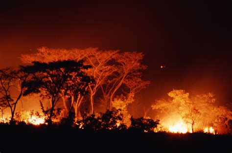 To adequately address this crisis we must urgently reduce carbon pollution and. Climate Change: Where do we go from here? | | Blogs | CDC