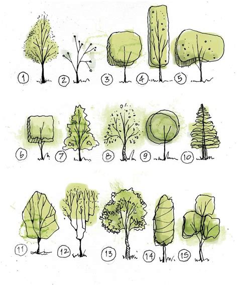 Doodle Tree Sketches Drawing Sketches Art Drawings Drawing Ideas
