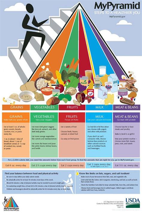 A More Diverse Food Pyramid Food Pyramid Nutrition Pyramid Healthy