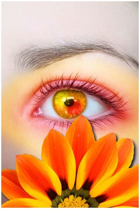 Rainbowaroundme To The Human Eye Orange Is A Very Hot Color So It
