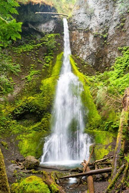 11 Best Hikes In Olympic National Park You Need To Explore Olympic