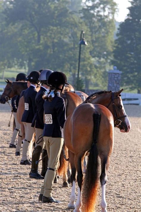 Ponies Descend On Kentucky Horse Park For 2012 Us Pony Finals