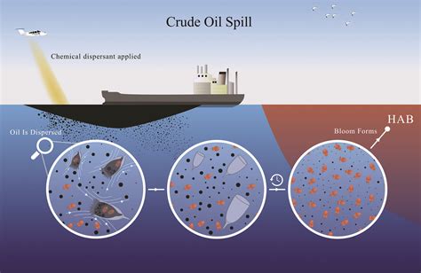 Crude Oil Spills Can Cause The Initiation Of Harmful Algal Blooms Red