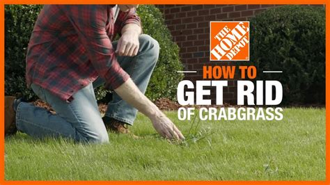 How To Get Rid Of Crabgrass Lawn Care And Maintenance The Home Depot Youtube