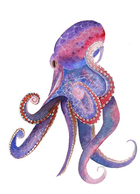 Watercolor Octopus Drawing By Liliya Suleymanova Pixels