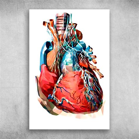 Anatomy Artistic Heart Codex Anatomicus Fridaystuff