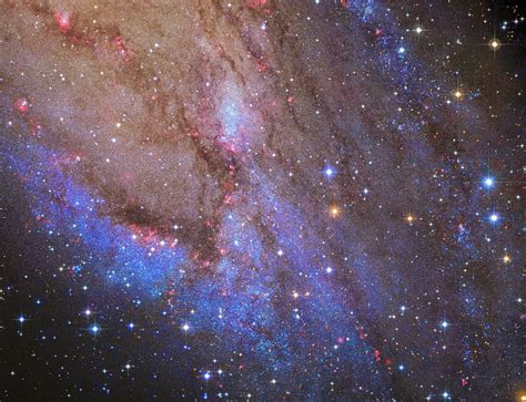 A Cluster Of Thoughts Star Clusters In The Andromeda Galaxy