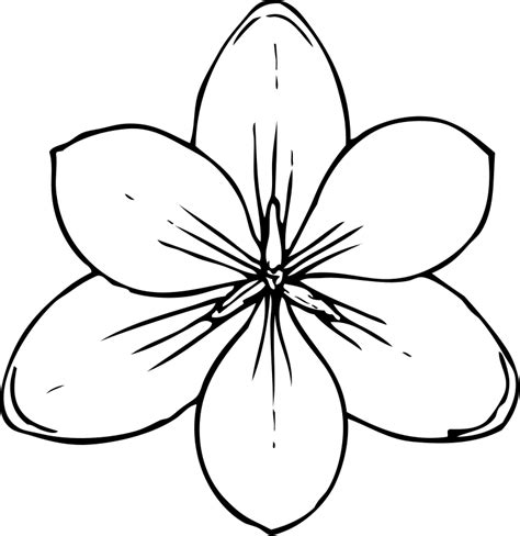 Free Printable Flower Stem Template Clipart Best