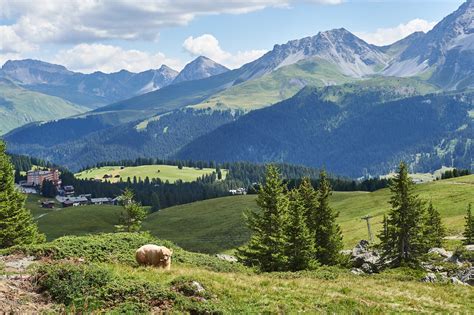 Gruppenreisen für firmen, vereine, schulen und private gruppen, gruppenbillette für zugfahrten ab 10 personen, charterzüge für besondere feiern. Arosa Bärenland Tickets online bestellen | Ferien in Arosa ...