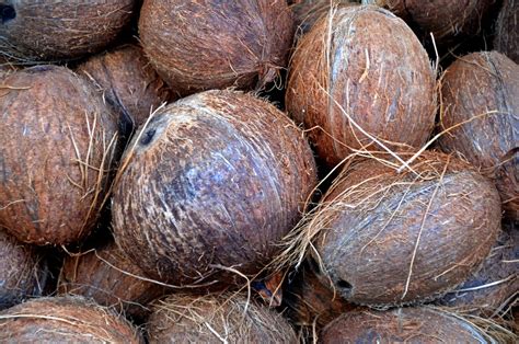 Free Images Wood Food Palm Produce Brown Market Healthy