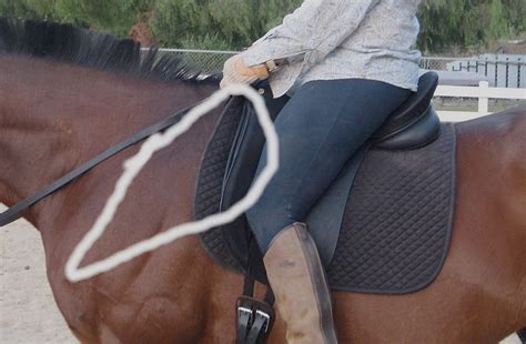 The Importance Of A Well Fitted Saddle