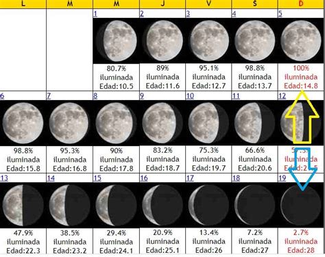 El Calendario Lunar 2023 Fases De La Luna Para Concebir Y Dar A Luz