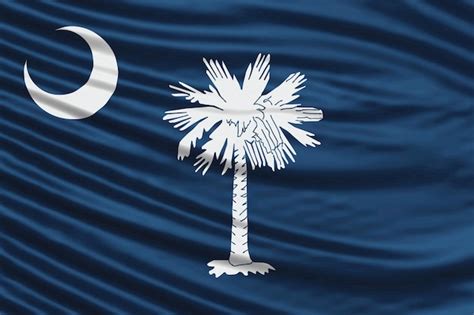 Premium Photo South Carolina State Flag Wave Close Up South Carolina