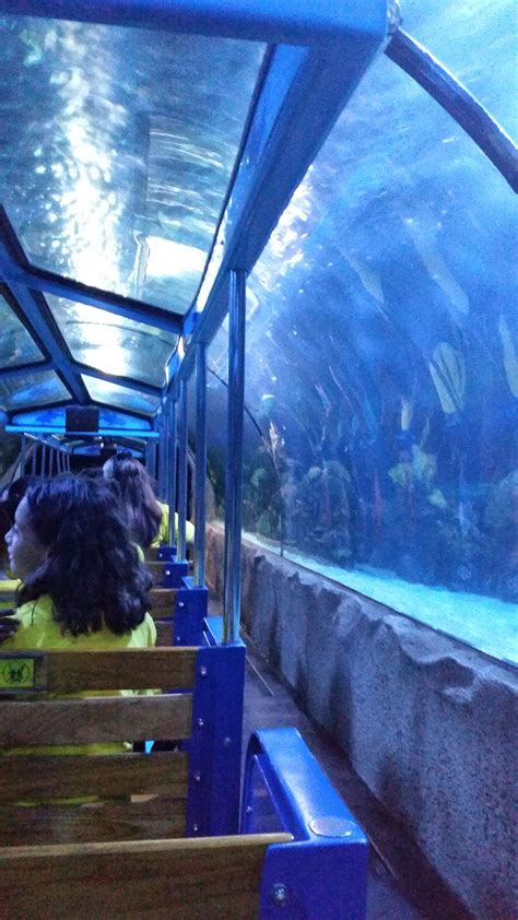 Houstons Downtown Aquarium Review