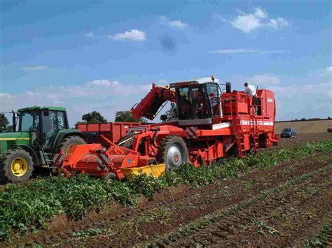 Potato Harvesters World Agriculture