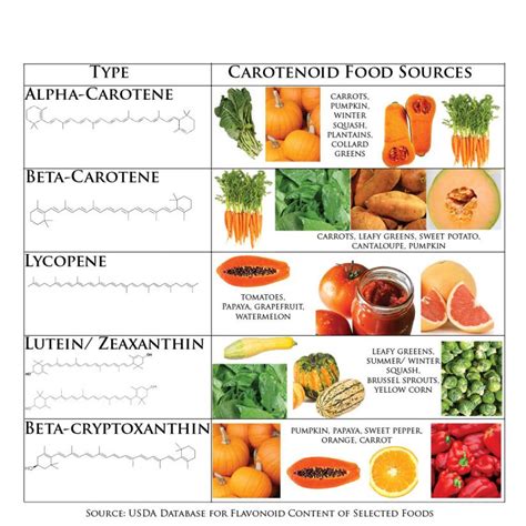 Carotenoid Foods May Protect Against Certain Breast Cancers American