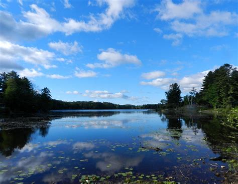 Dr fong voon yen (1), dr warren lo hwa loon (1). Tag Archive for "Loon Lake" - The Adirondack Almanack